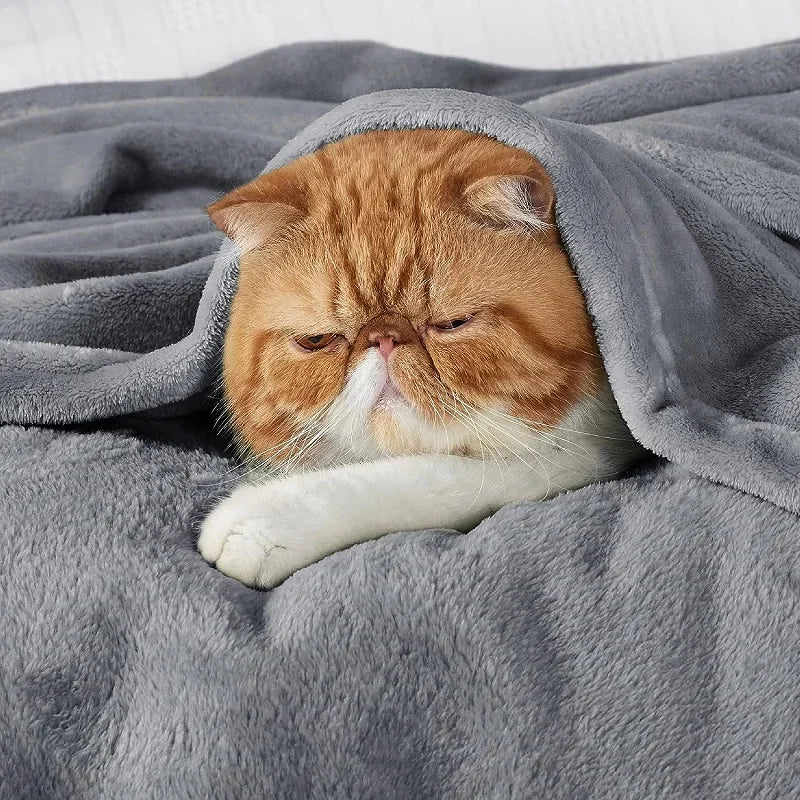 Ultra-Soft Flannel Fleece Throw Blanket